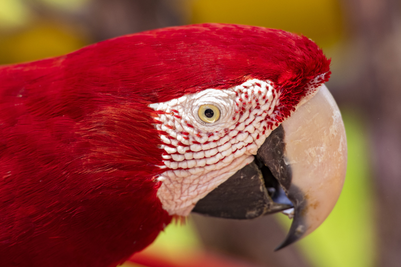 Bonito - Photo by Hudson Garcia (13)